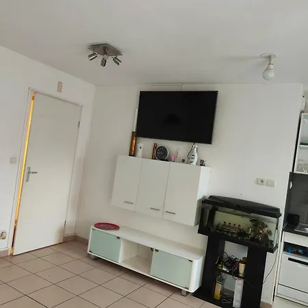 Avec Piscine Jardin *